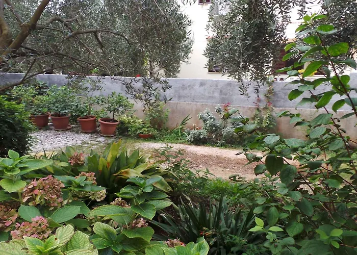 Zadar, County 8 Apartman *